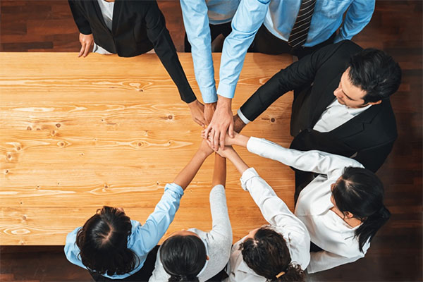 Professional customs clearance services